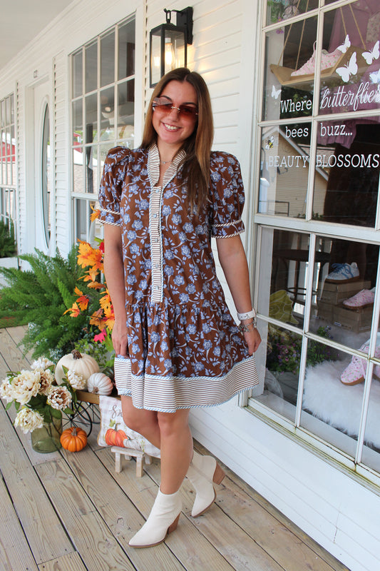 Brown Floral Striped Mini Dress