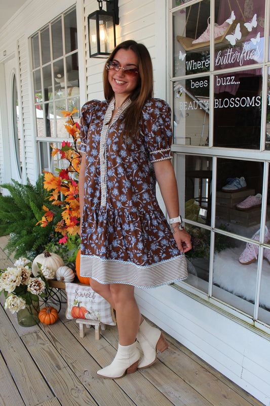 Brown Floral Striped Mini Dress